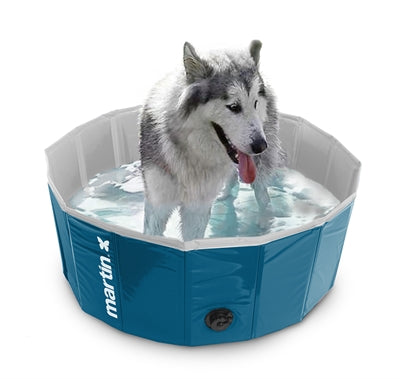 Martin Dog Pool Gelb