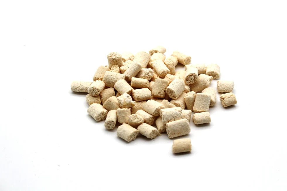 Trainingssnack Kokos - vegetarische Leckerlis