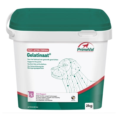 Primeval Urzeitlicher Gelatinierter Hund