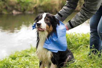 Trixie-Handtuch Sortiert