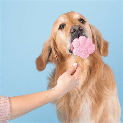 Smoofl Eiscreme-Mix Für Hunde Erdbeere