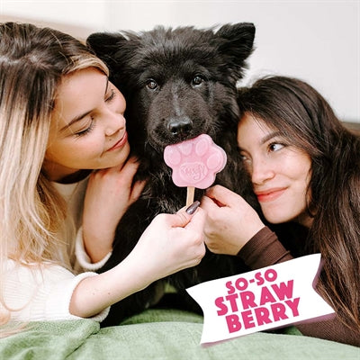 Smoofl Eiscreme-Mix Für Hunde Erdbeere