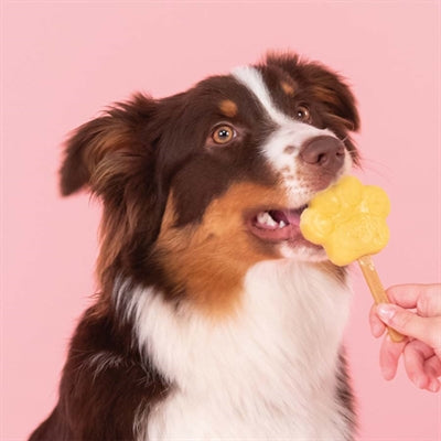 Smoofl Für Hunde Apfel