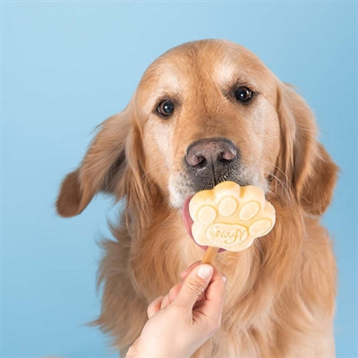 Smoofl Für Hunde Erdnussbutter