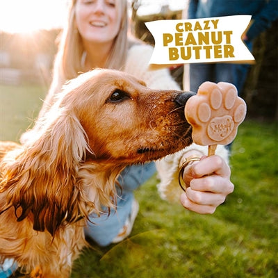 Smoofl Für Hunde Erdnussbutter