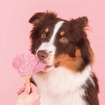 Smoofl Für Hunde Wassermelone