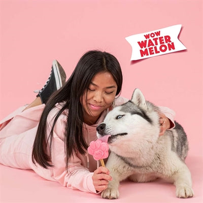 Smoofl Für Hunde Wassermelone