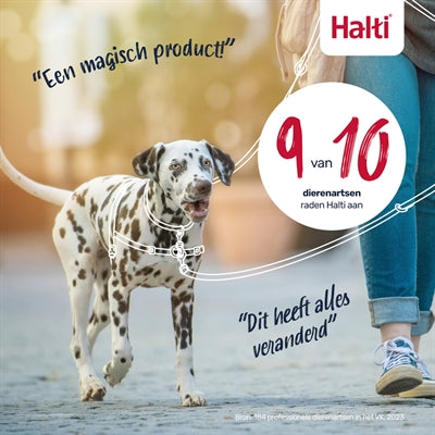 Halti Kabelbaum Frontsteuerung Schwarz