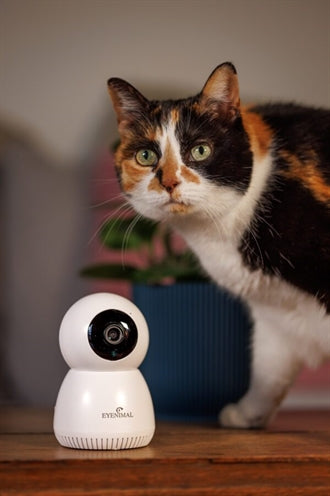 Numaxes Eyenimal Pet Vision Live Hd Kamera Ohne Geräuscherkennung